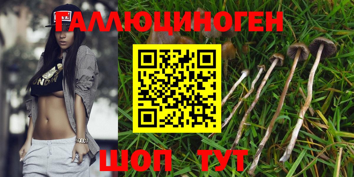 Галлюциногенные грибы GOLDEN TEACHER Баксан