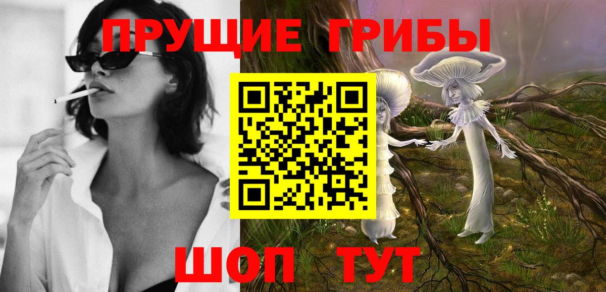 Баксан  Галлюциногенные грибы мицелий  Вход с VPN 